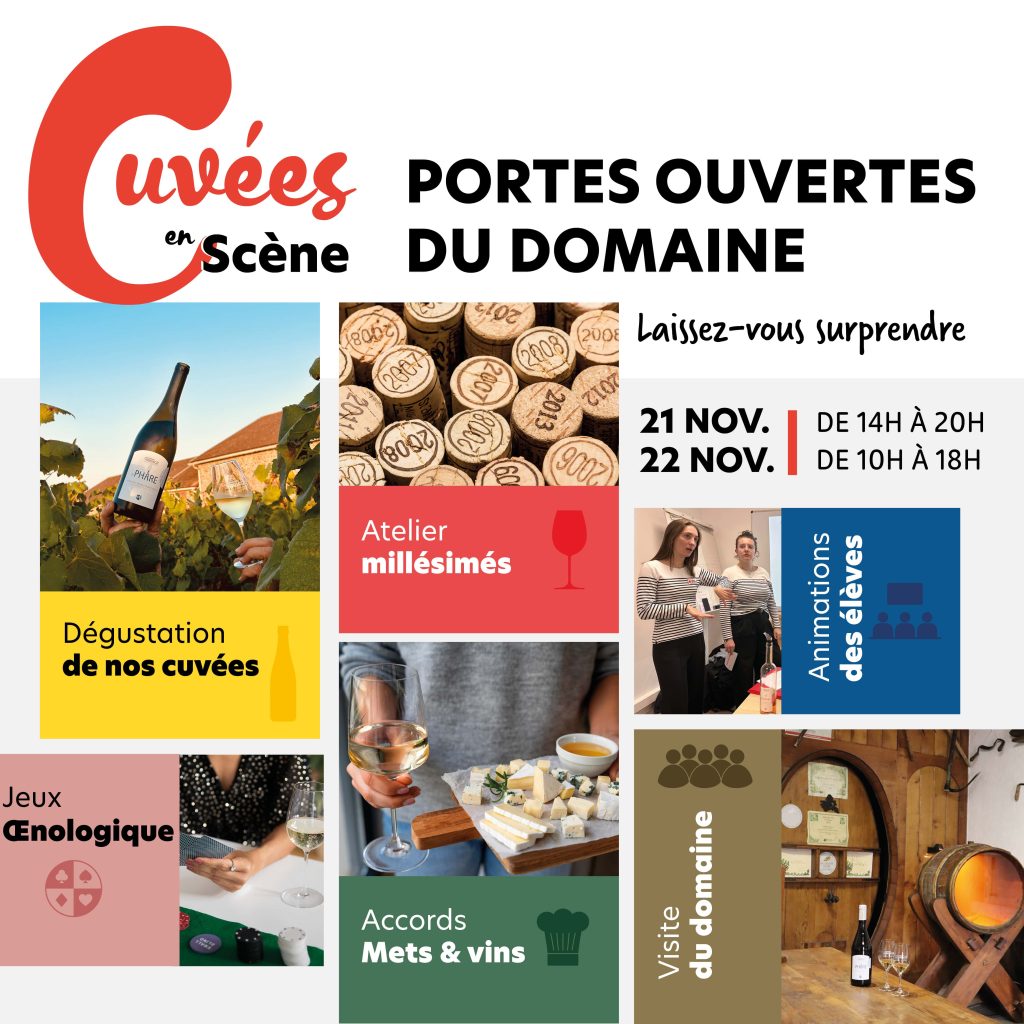 Portes ouvertes de la cave château Briacé